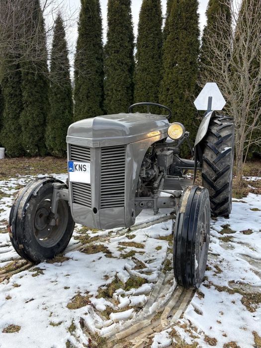 ferguson TED 20. benzyna nafta