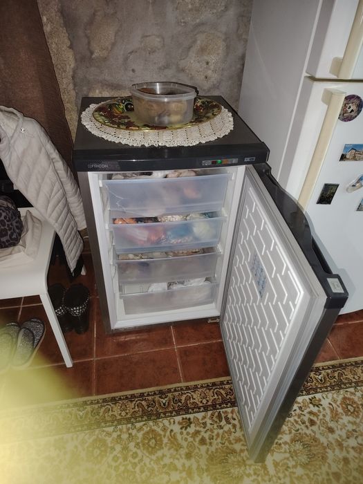 Arca congeladora como nova