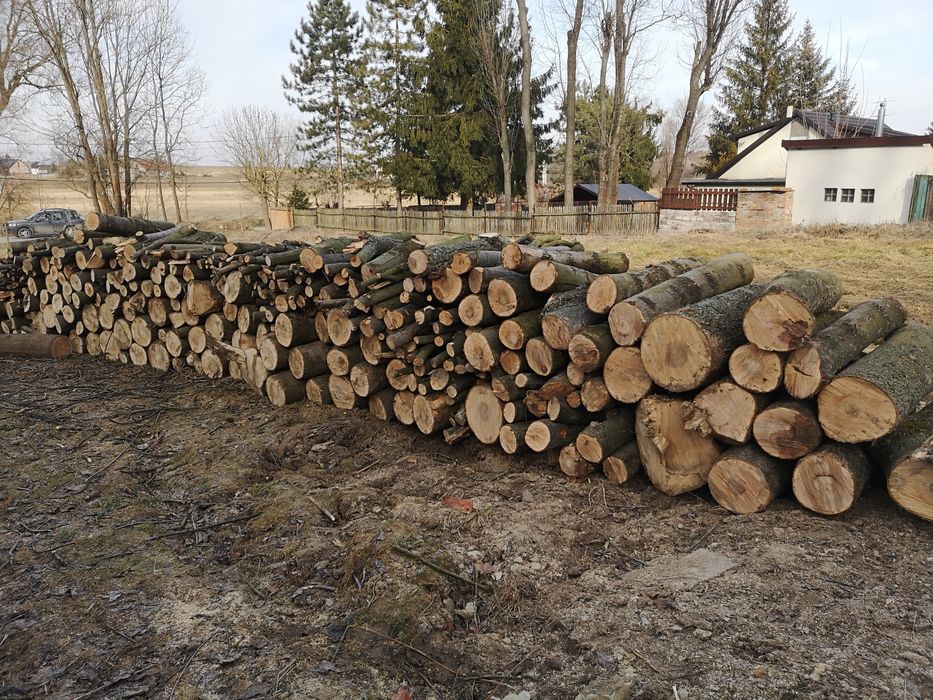 Sprzedam drzewo, drewno opałowe - jesion, klon