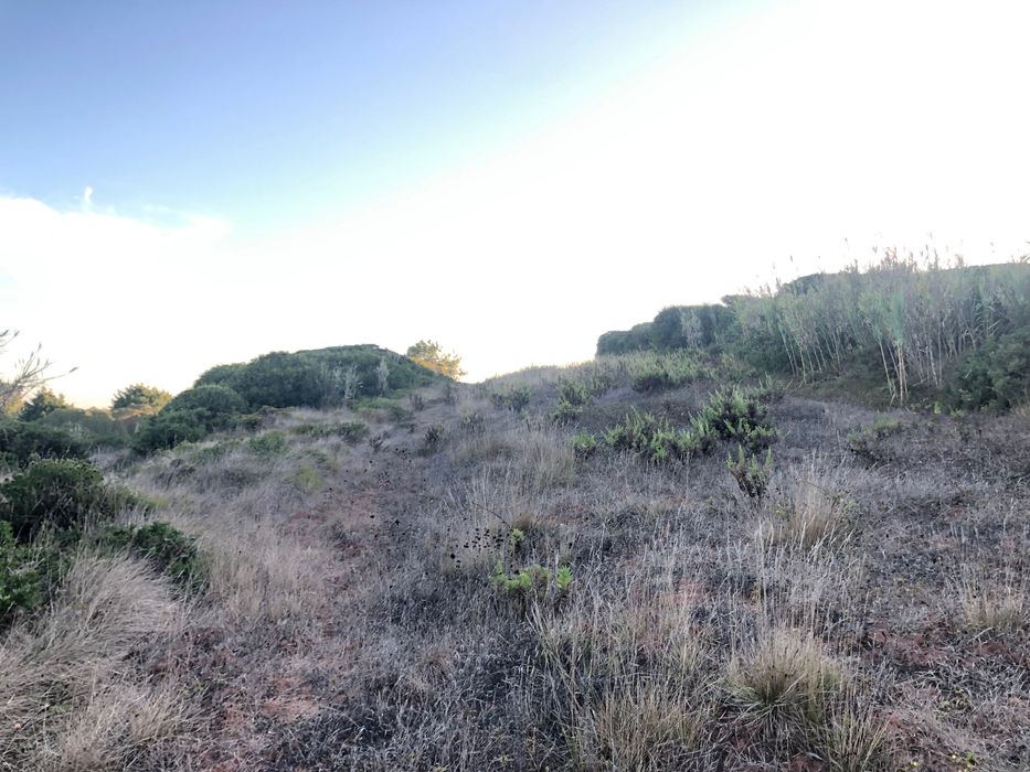 Vendo terreno com vista mar
