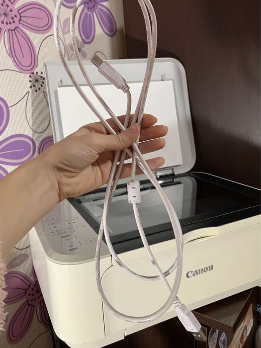 Принтер Canon MG3650S White