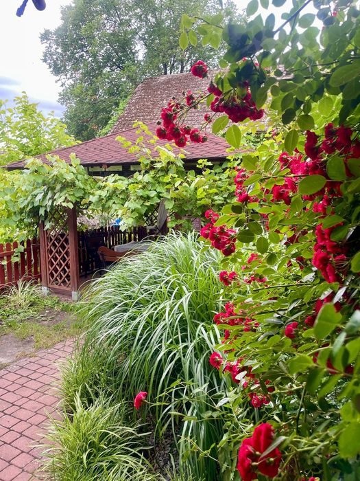 „Dom u Marzeny” bezpośrednio nad jeziorem