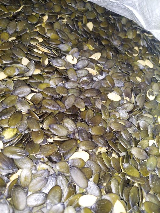 Sprzedam pestkę dyni różne gatunki olejowa, piekarnicza