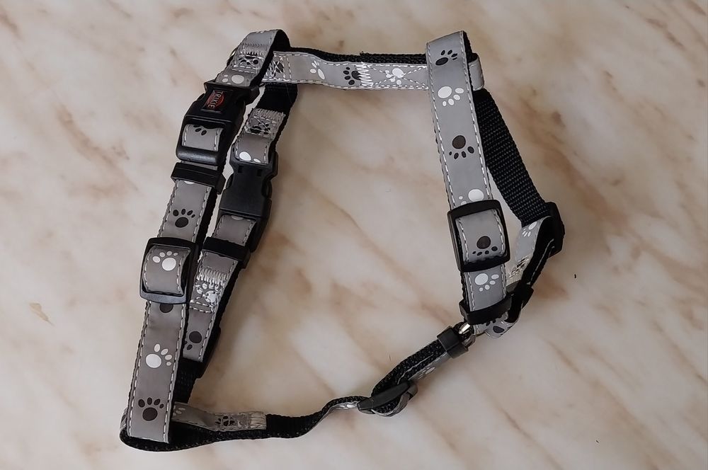 Ошейники для собак