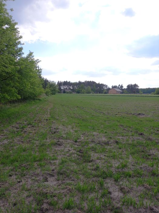 Działki budowlane na sprzedaż – Świeca, gmina Odolanów - Więcej