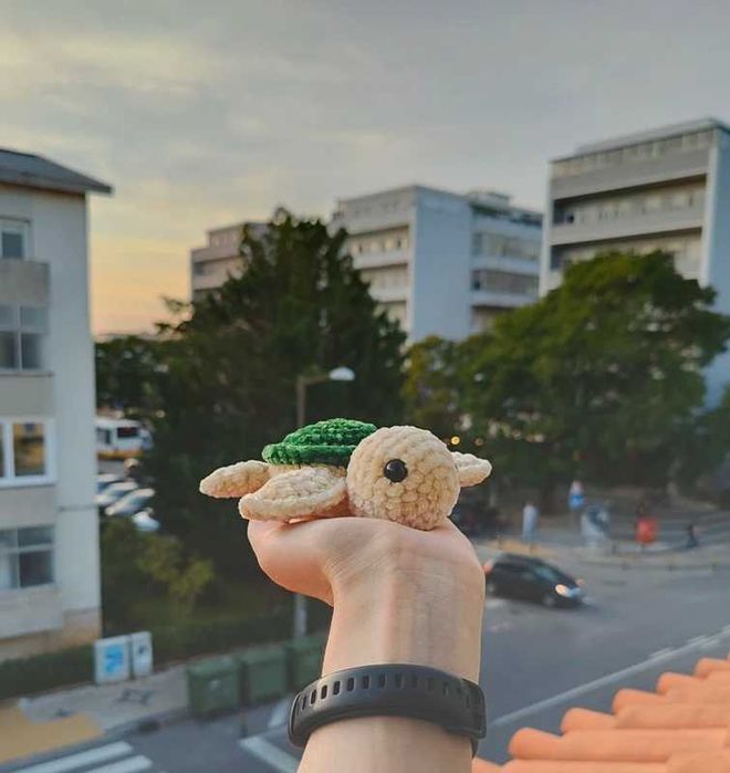 Tartaruga | Turtle em Crochet - Amigurumi