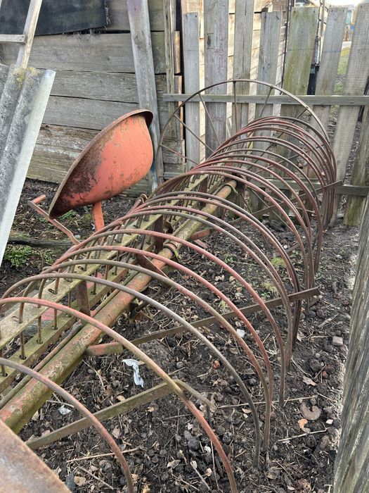 Кінська гребачка