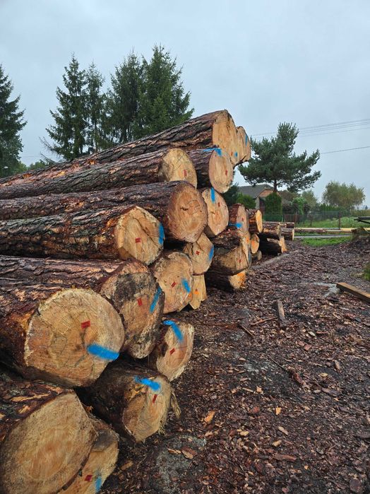 TARTAK  Tarcica Więźba dachowa Deski Łaty Trociny Grobla Małopolska
