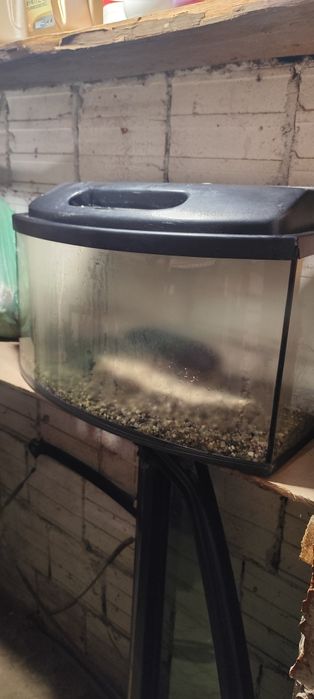 Sprzedam akwarium około 44~55L