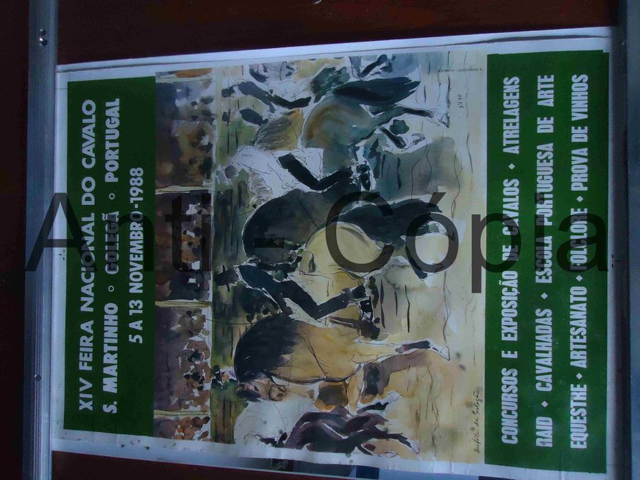 Cartazes de S. Martinho 30 x 45 aprox.