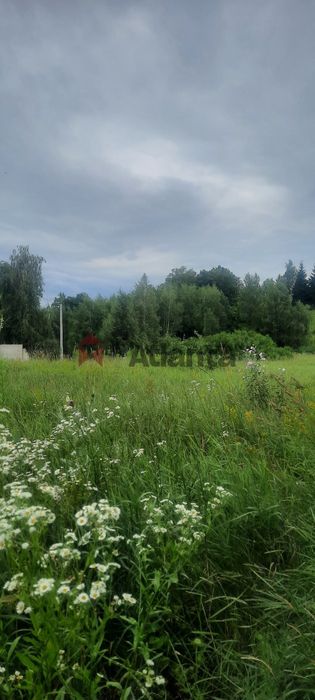Зем.лділянка 14 соток.(під забудову).с.Рославичі.Київська обл.