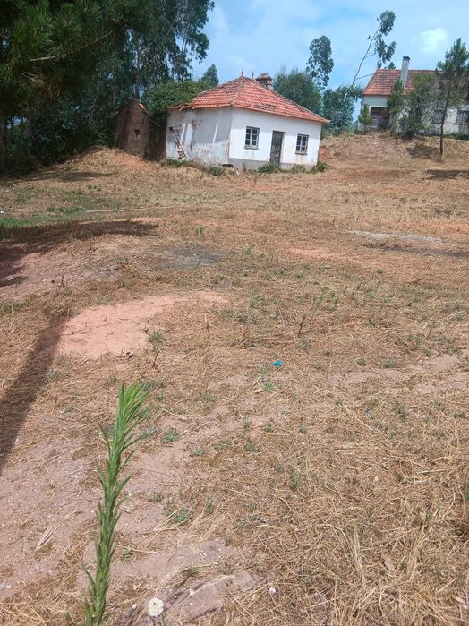 Casa antiga com terreno