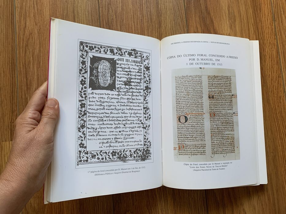 De Freixo, a Freixo de Espada à Cinta - Monografia