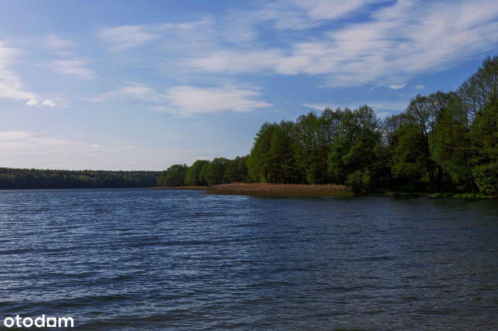 Działka nad Jeziorem Dołgie| las | natura - BUDOWLANA