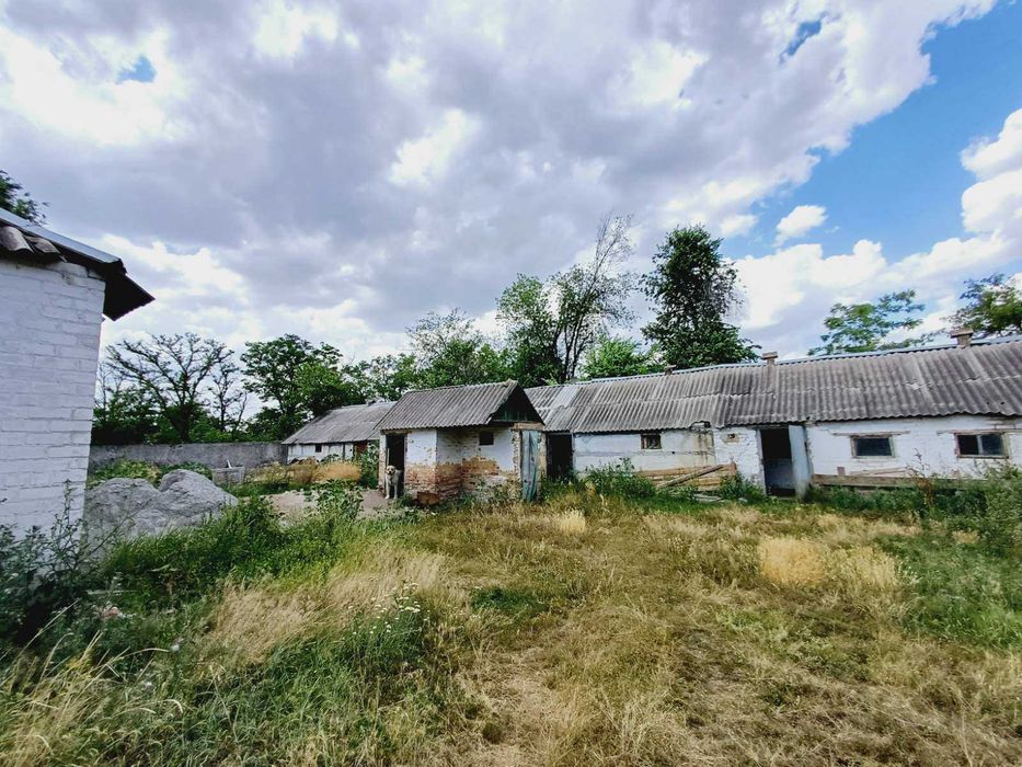 Продается  ферма в с. Гейковка (Кривбас), или обмен на єкскаватор или  автокран или автомобиль