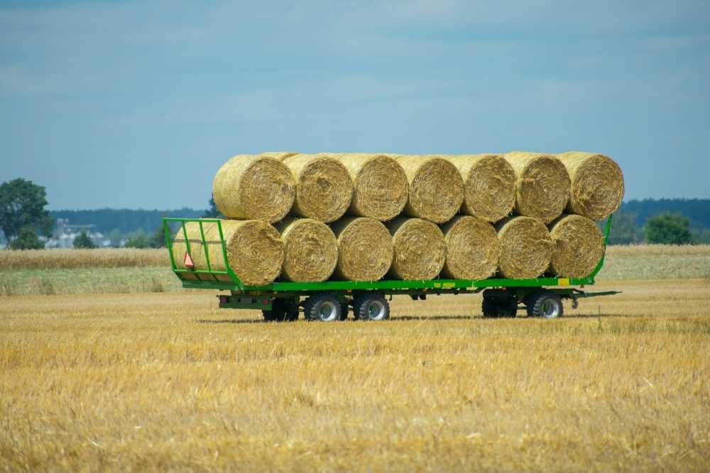 przyczepa do bel PRONAR T023. Od ręki  platforma trzy osie 2025r