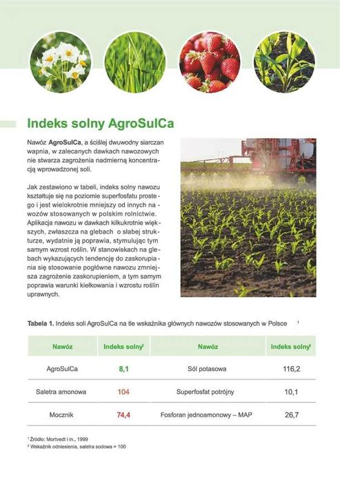 AgroSulCa - Nawóz Siarkowo- Wapniowy