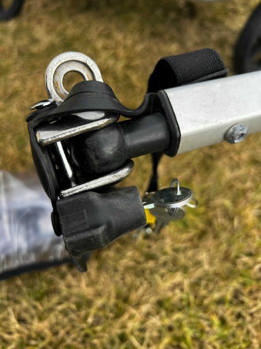 Thule Chariot Sport 2 przyczepa rowerowa Top Model