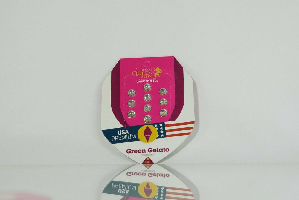 Nasiona konopi Green Gelato - ROYAL QUEEN SEEDS - 10 sztuk