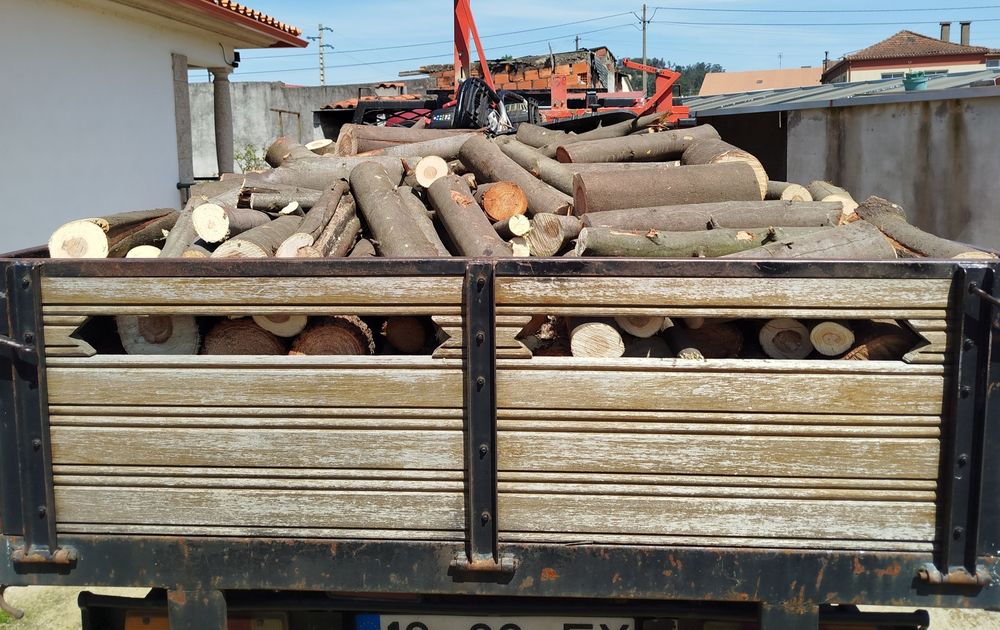 Vende-se lenha de mimosa