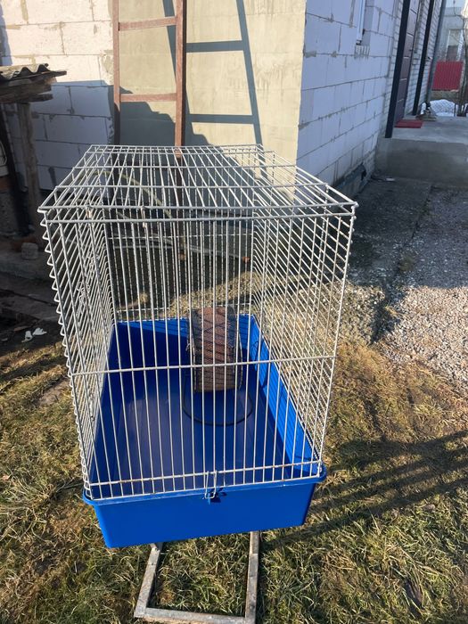 Клітка для гризунів