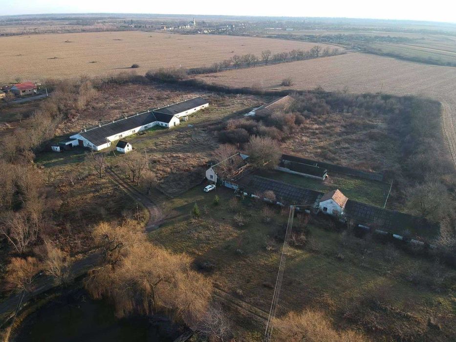 Свиноферма 2200 м2