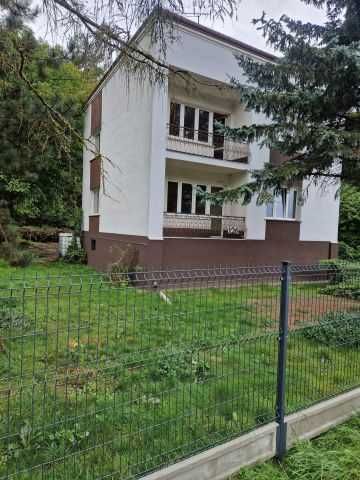 dom do wynajęcia