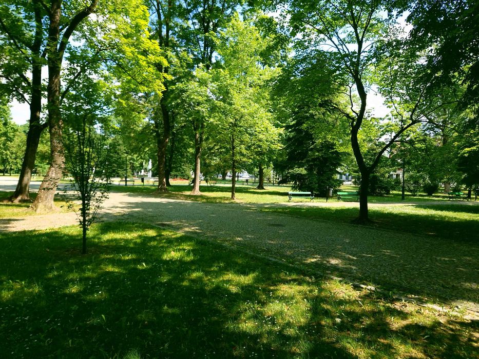 Mieszkanie – Suwałki - Widok 2
