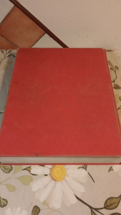 Encyklopedia popularna PWN, 1982rw.