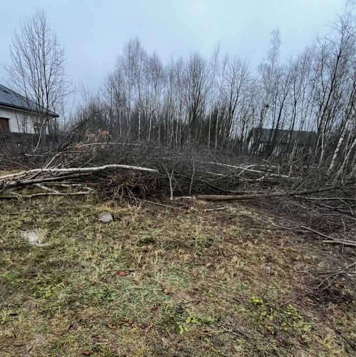 Uslugi rębakiem, wycinka drzew