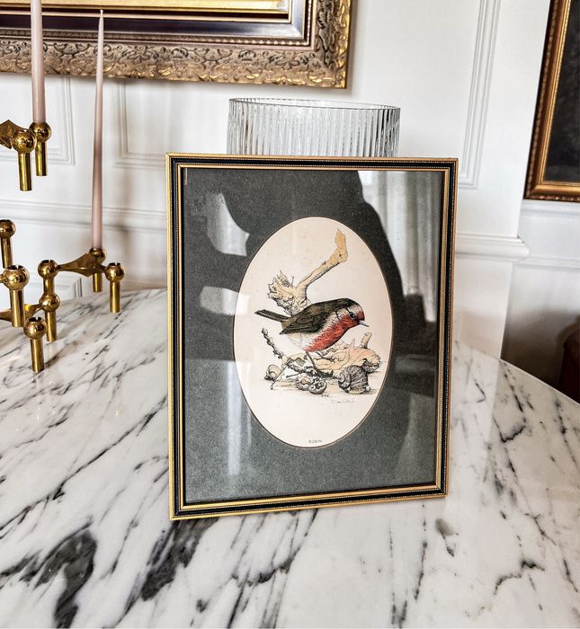 John Moreland 5 x grafika ręcznie malowana vintage 1970 ptaki stare