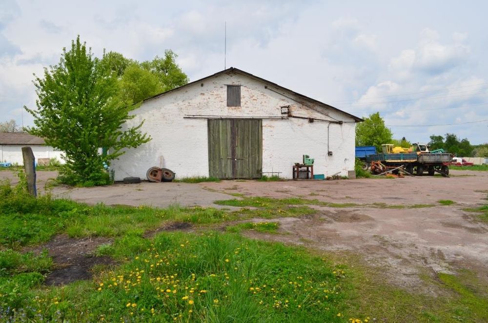 Зерносклади, комори з площадками для сушіння, с. Сушки