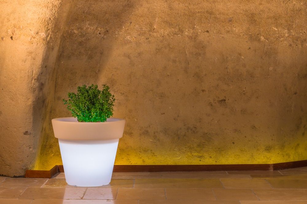 Vasos led decoração