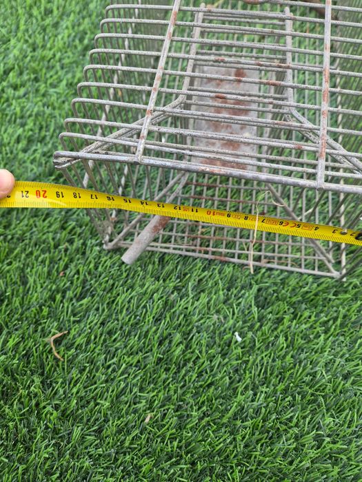 Ratoeira para ratos grandes e pequenos