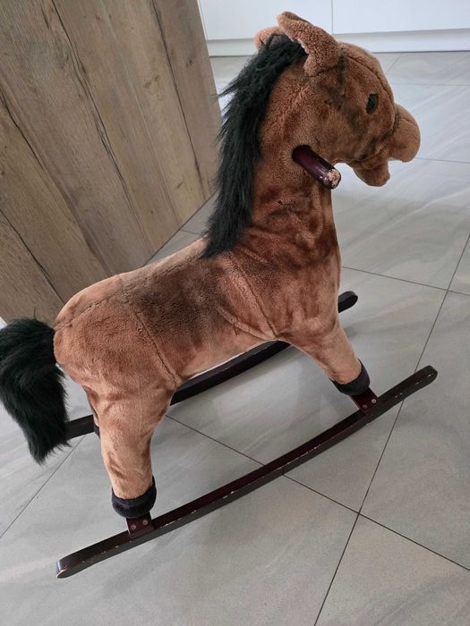 Konik na biegunach