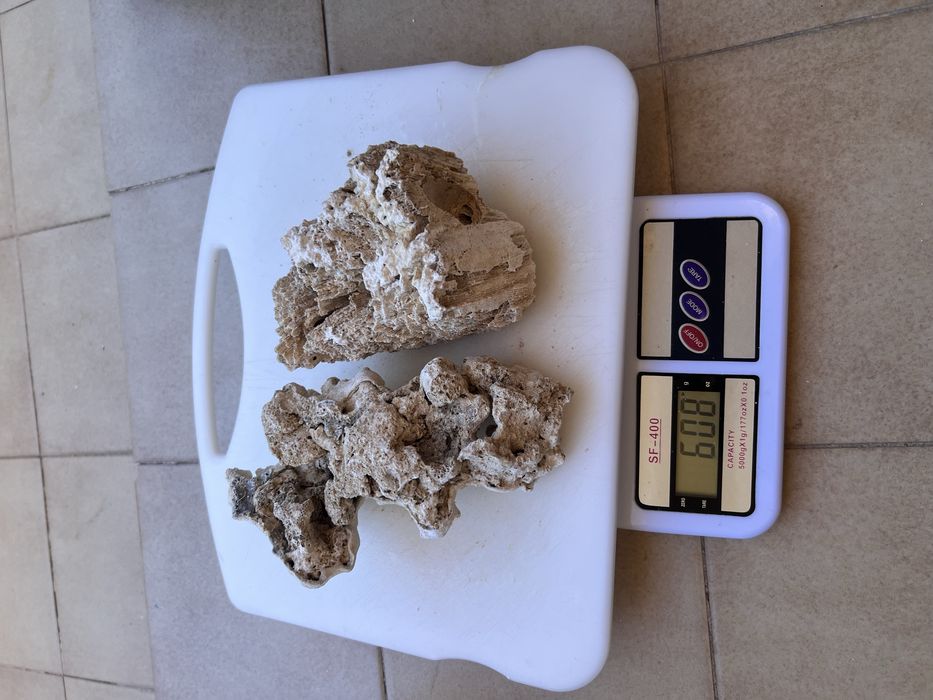 Rocha de coral para aquario agua salgada