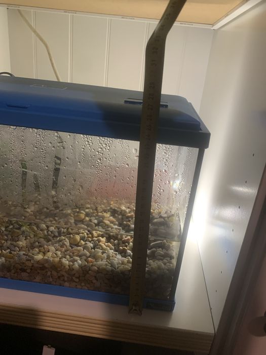 Aquário Aquatlantis 22L