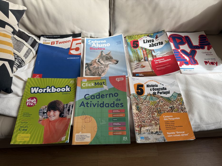 Cadernos de atividades 5 ano