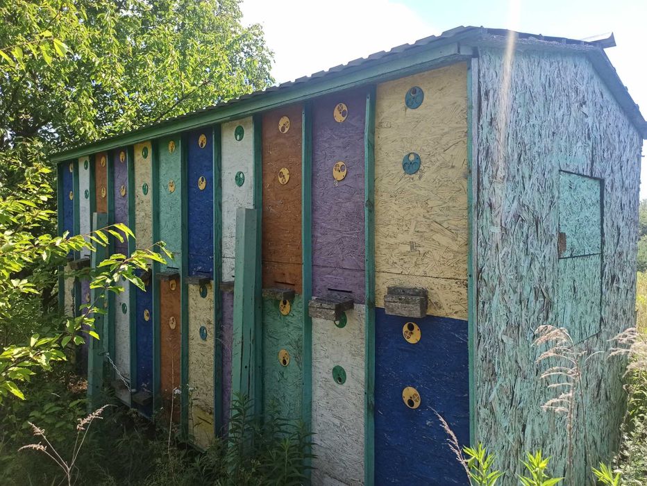 Продам бджолопавільйон