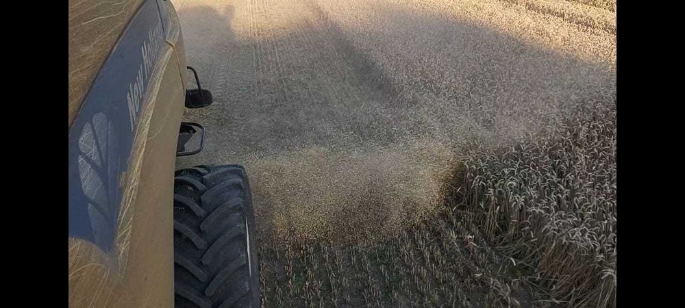 Rozrzutnik Plew do Kombajnów Różnych Marek + MONTAŻ Class New Holand