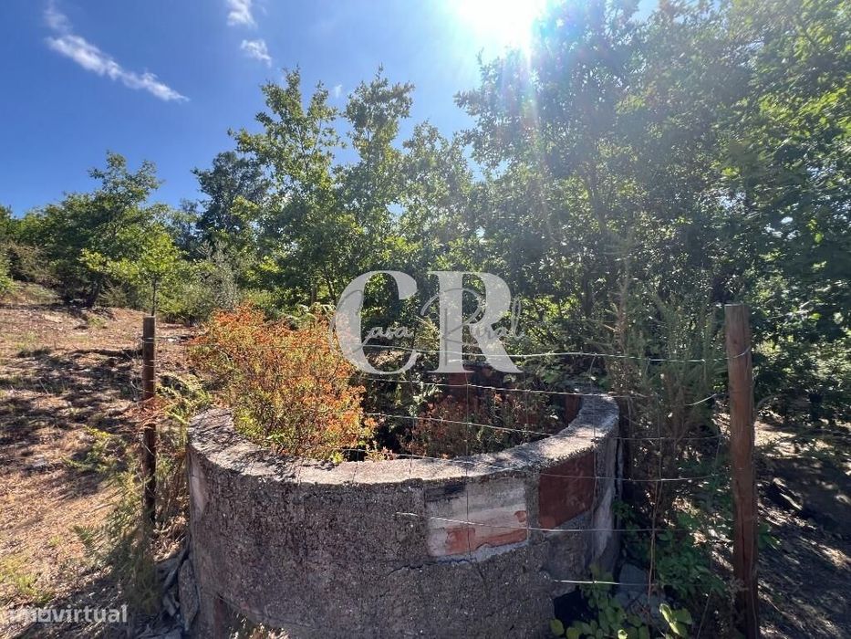 Casa de Pedra Renovada, Ruínas, Riacho, Poços e 15.570m2 de Terreno na