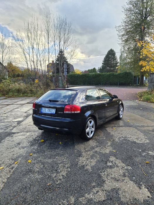 Audi A3 8P 1.9 TDI 2003