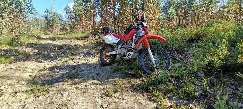 Honda XR 650r 2001