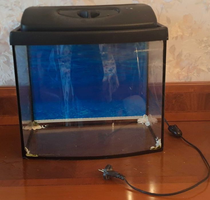 Акваріум готовий до використання!!! самовивіз