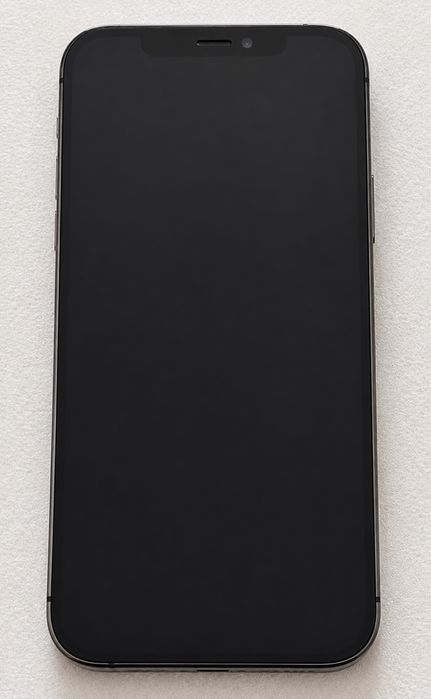 iPhone 12 Pro 128 GB Grafite — Muito Estimado