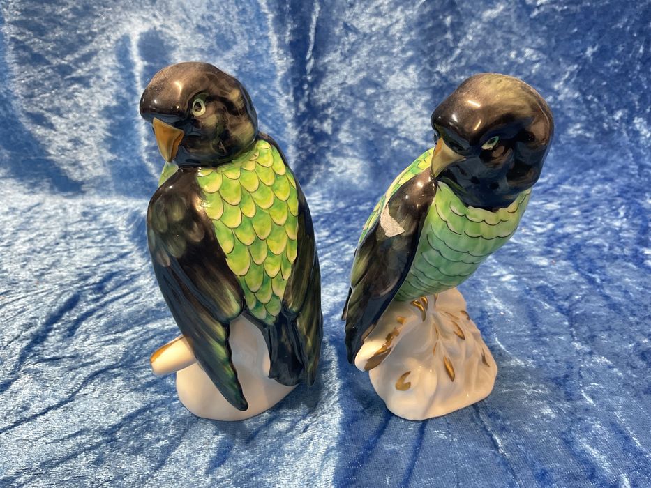 Piriquitos vista alegre Par