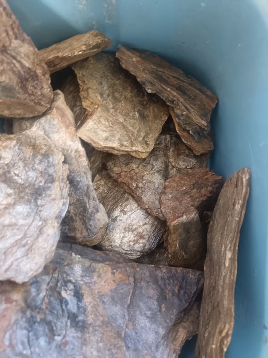 Pedras de aquário xisto e substrato