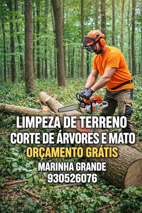 Corte e Limpeza de Árvores – Rápido e Seguro