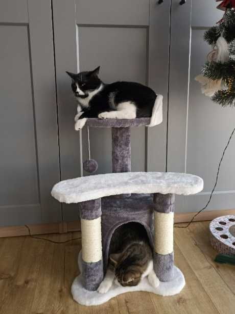 Kompaktowy drapak dla kota do drapania słupek 67 cm