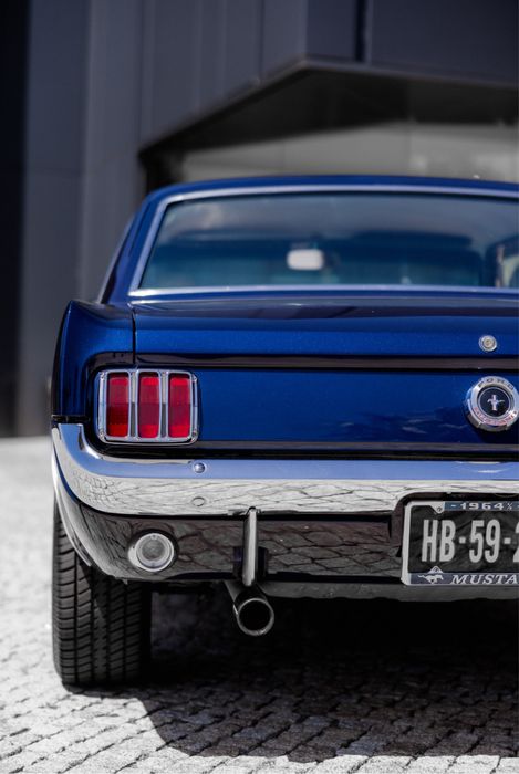 Mustang para ALUGUER ou VENDA